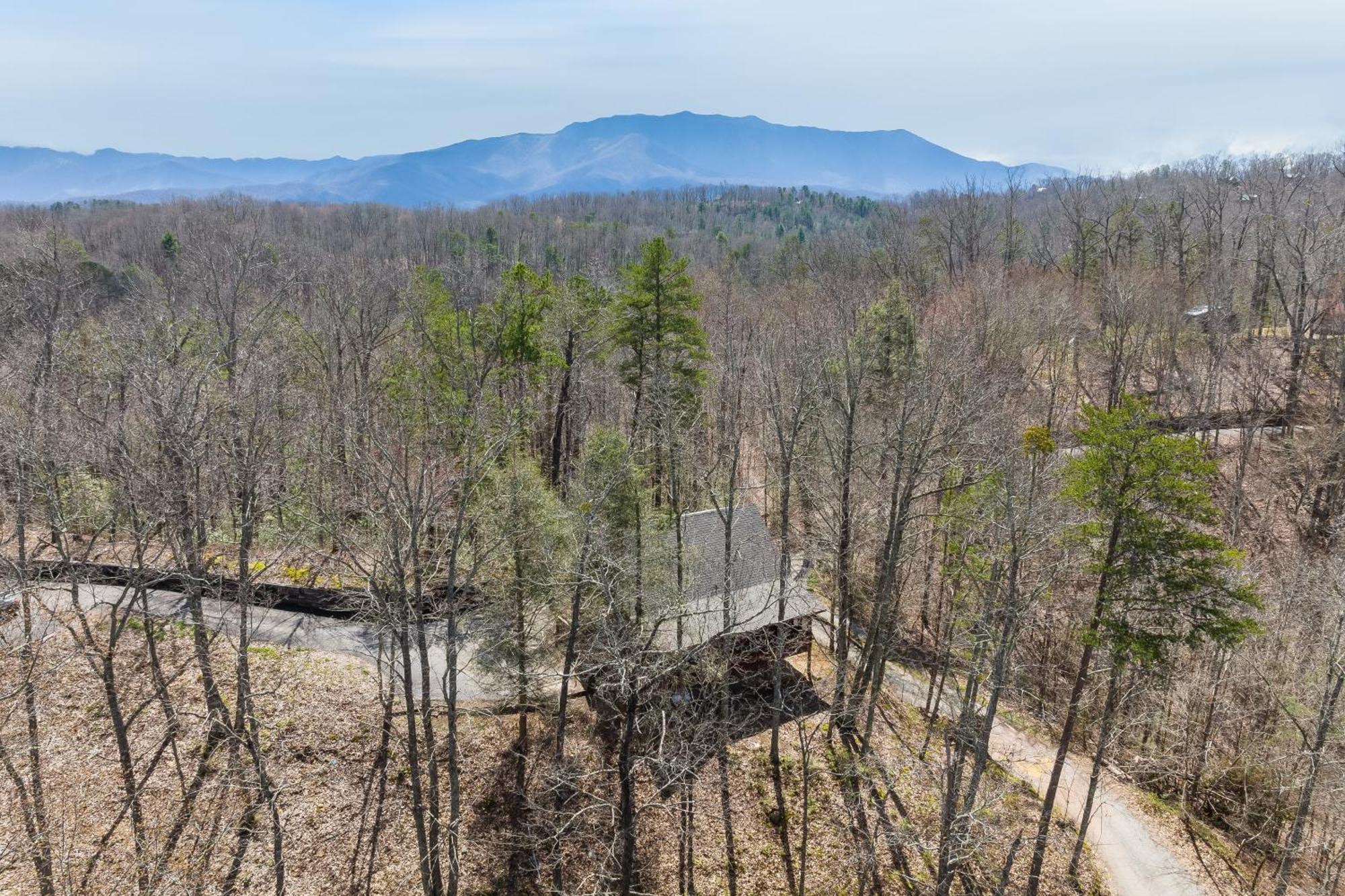 Dudley III By Avantstay Cosy Mountain Home W Hot Tub Great Views Pigeon Forge Ngoại thất bức ảnh